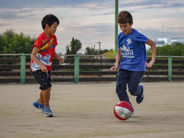 对于多特蒙 对于多特蒙