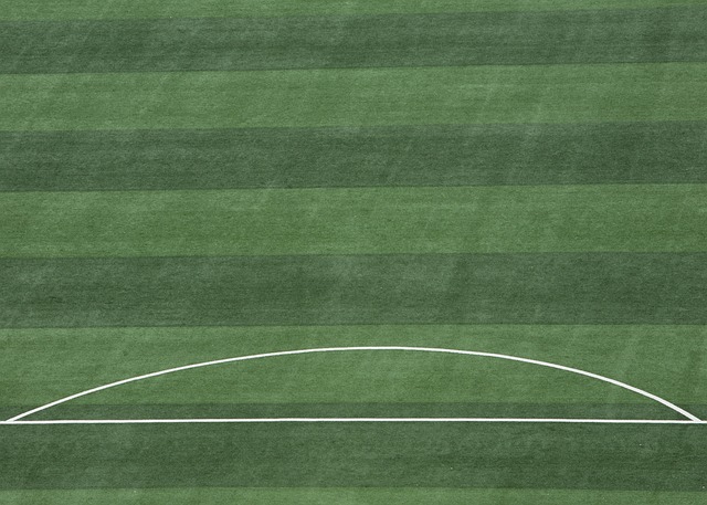 的分水嶺 的分水嶺