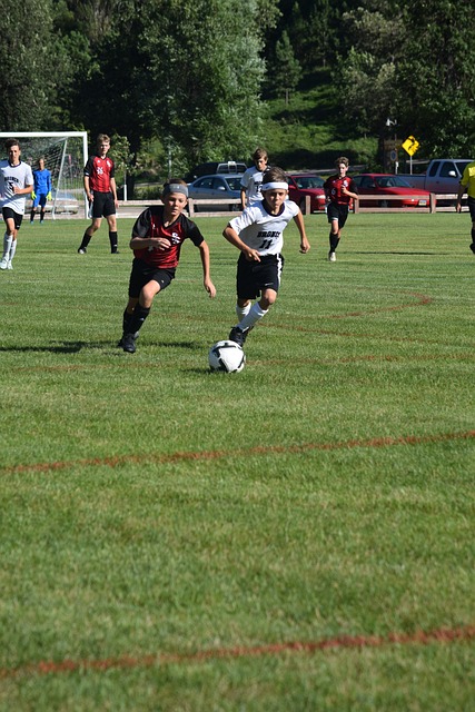 在职业生涯 在职业生涯