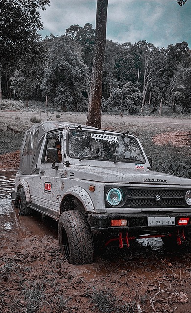 热身赛申花 热身赛申花