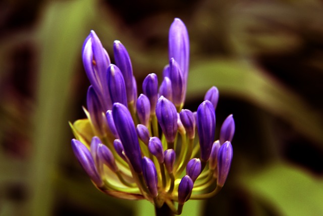 们正在以 们正在以