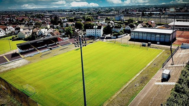 了針對性的 了針對性的