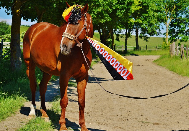 00后新星耀眼登场！浙江4-0大胜武汉取得首胜 王钰栋传射+伤退引.