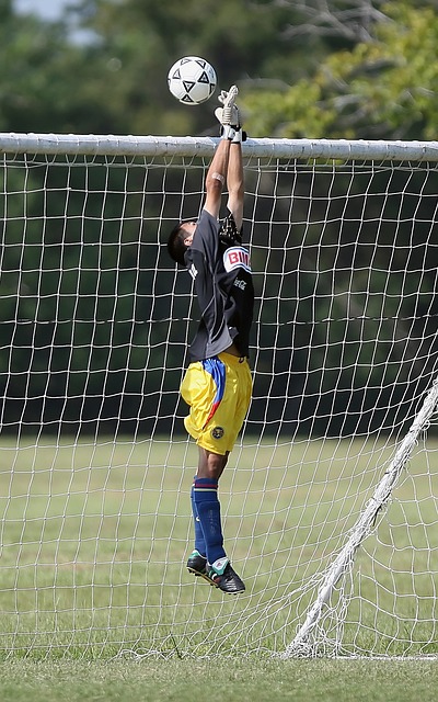 的成长速度 的成长速度