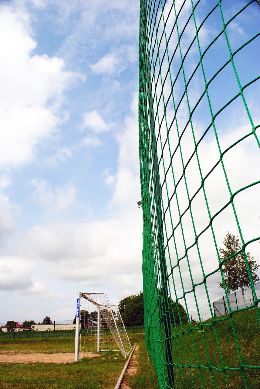 乐部中获得 乐部中获得