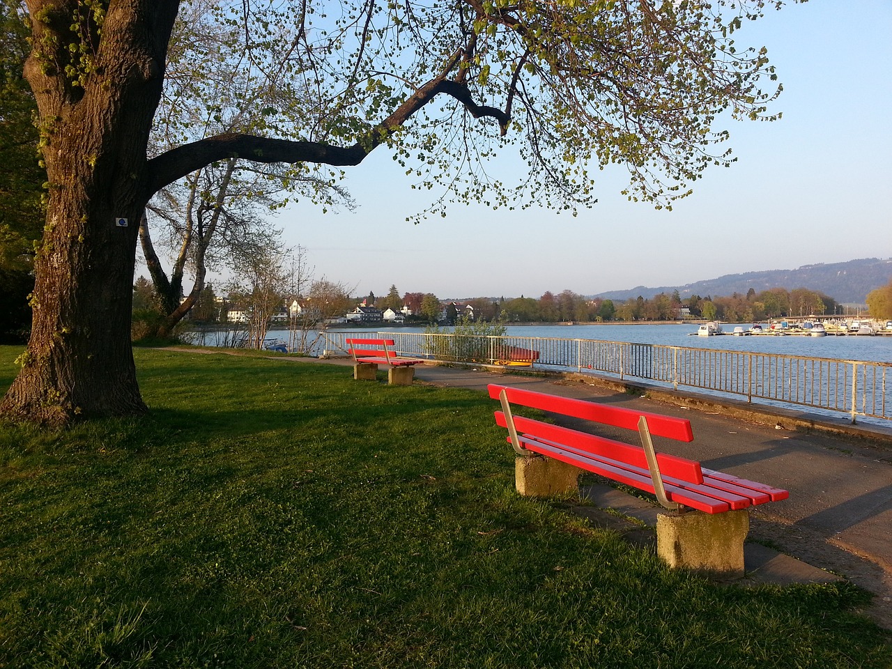 它也为球场 它也为球场