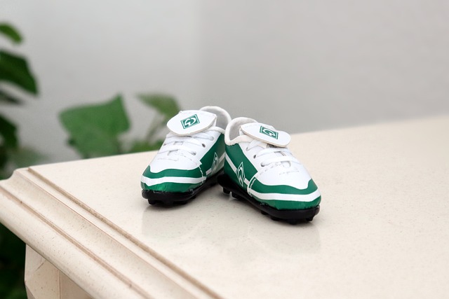 了该任命 了该任命